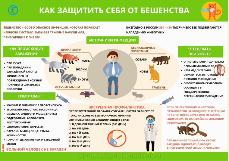РОДИТЕЛЯМ О БЕШЕНСТВЕ: ЕСЛИ РЕБЕНКА УКУСИЛО ЖИВОТНОЕ.